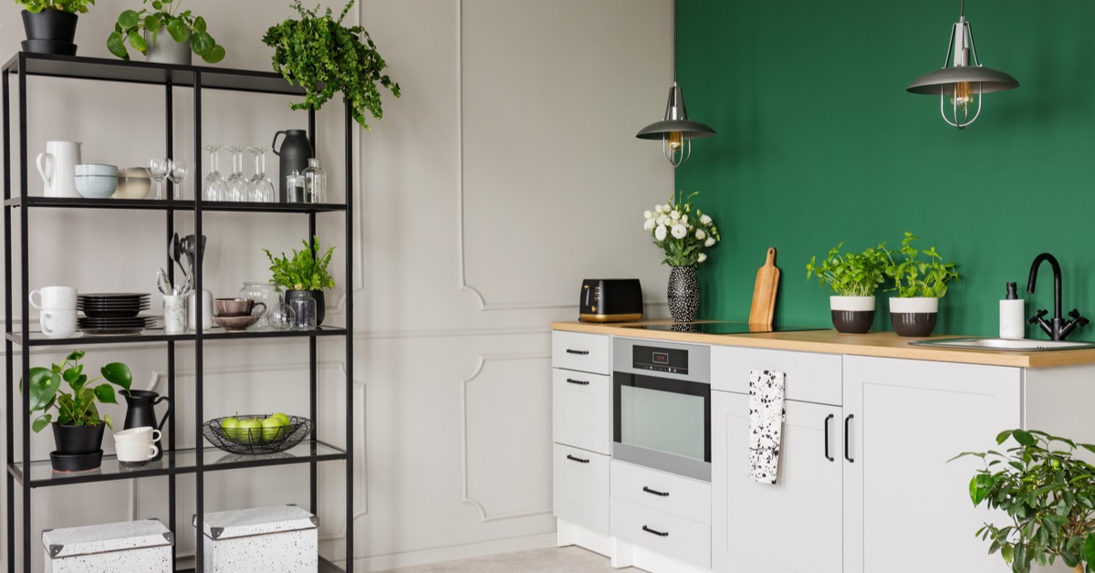 10 Popular Plants for Kitchen Decoration