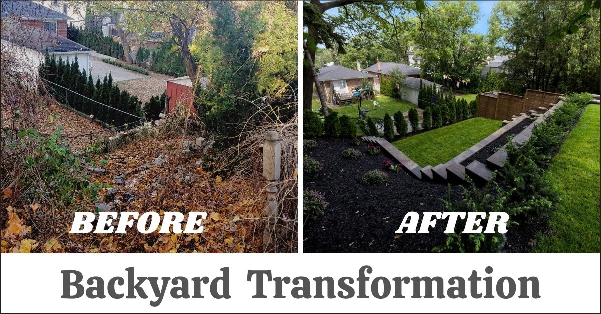 Backyard Transformation