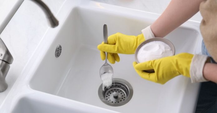 Get Rid of Drain Worms